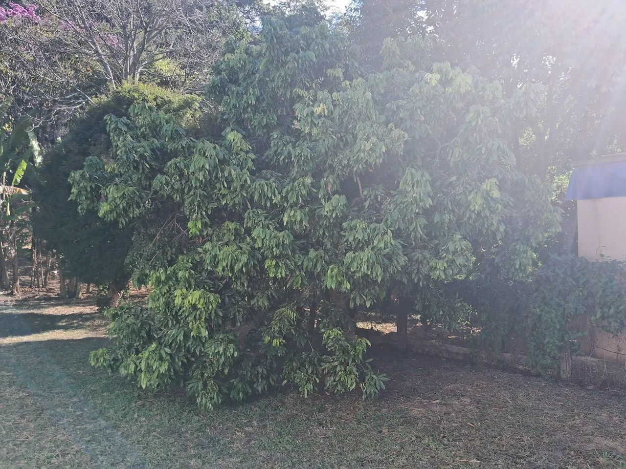 Sitio chacara matozinhos  - Foto 2