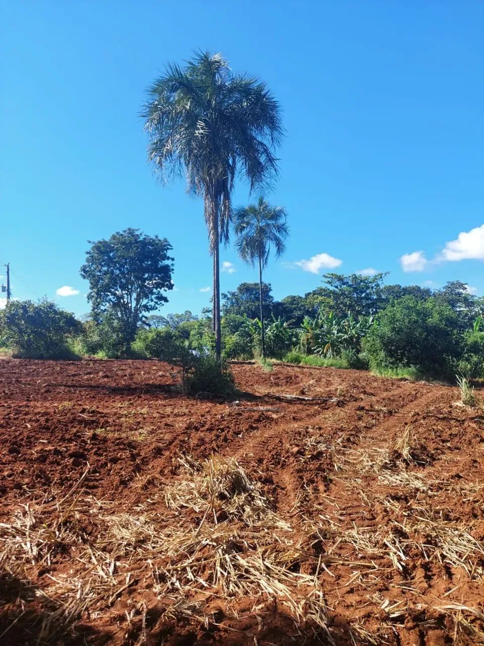 CHÁCARA À VENDA  PIRENÓPOLIS/GO