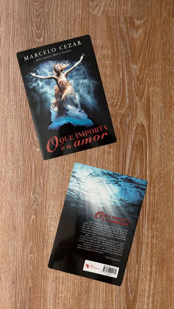 Livro: O Que Importa é o Amor  - Foto 2