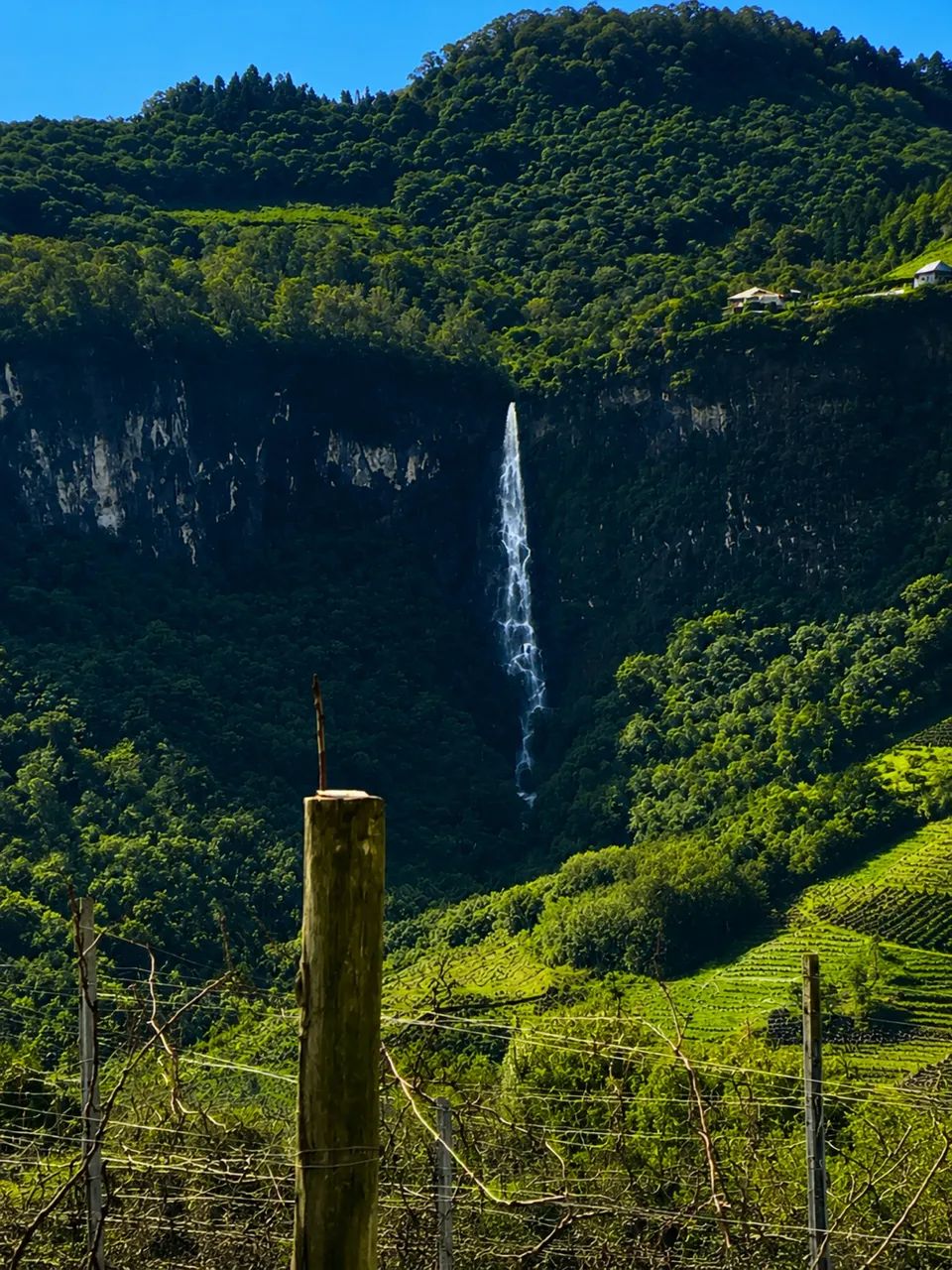 Vale dos Vinhedos  - Foto 4