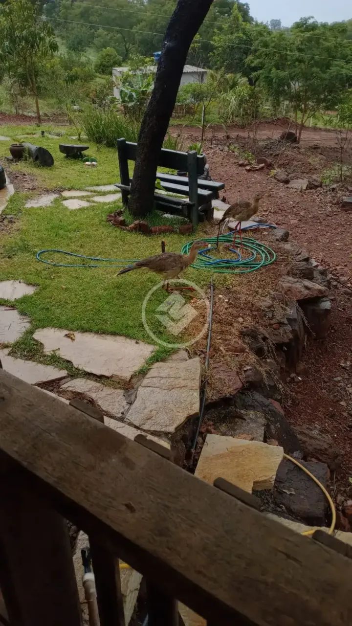Chácara em Bonfinópolis  codigo: 361062 - Foto 2