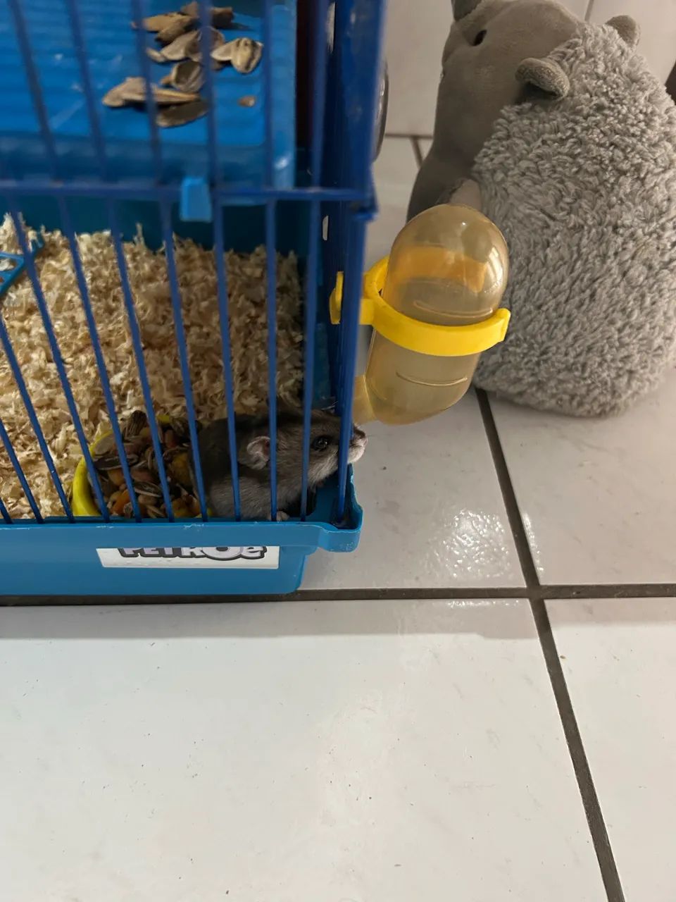 Hamster  - Foto 4
