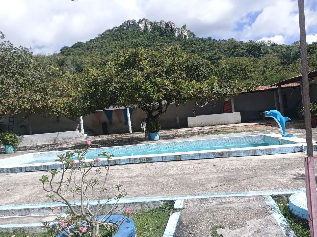 Sítio com espaço amplo pra família  - Foto 4