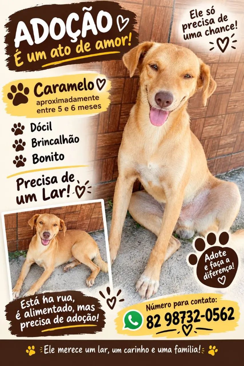 Adoção Responsável 
