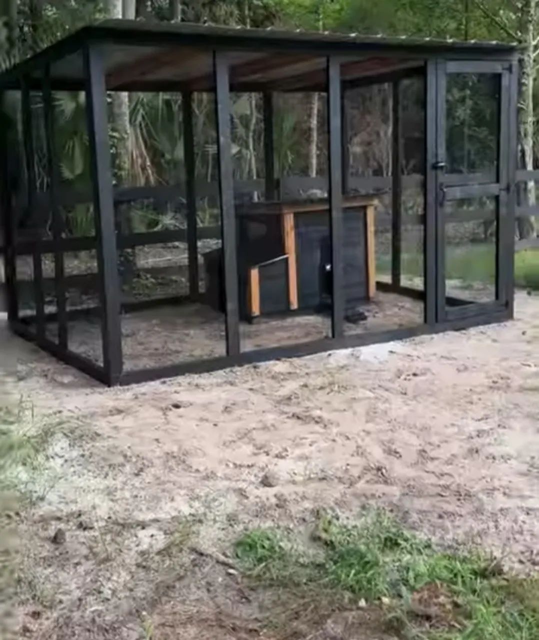 Criadouro para Patos e Gansos - Foto 5