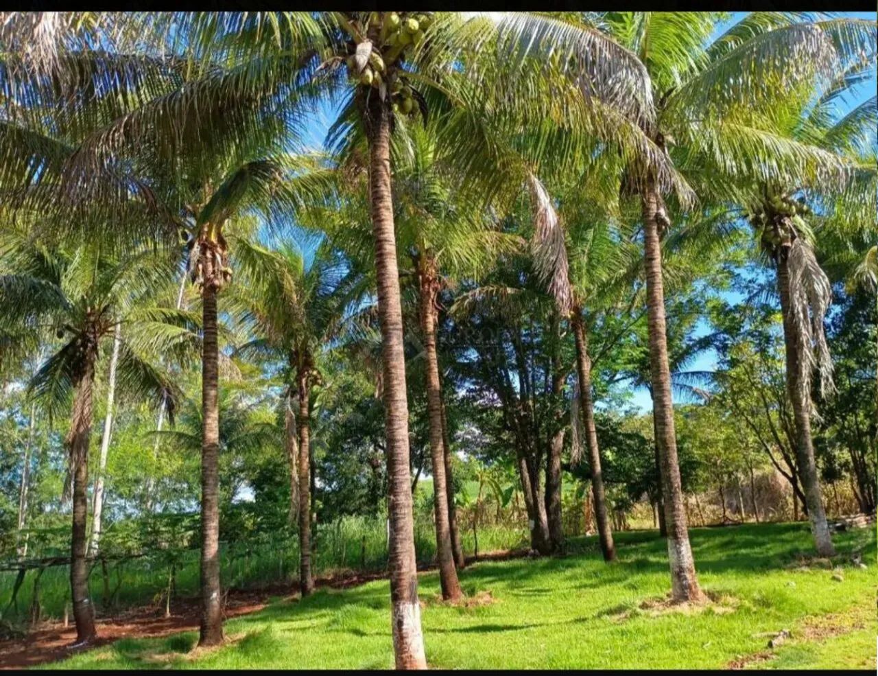 Chácara à Venda Excelente Oportunidade<br>