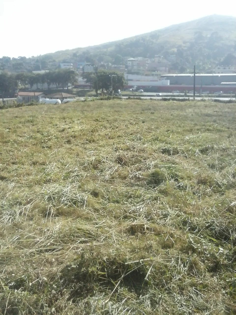 Terreno Barra Mansa - Foto 5