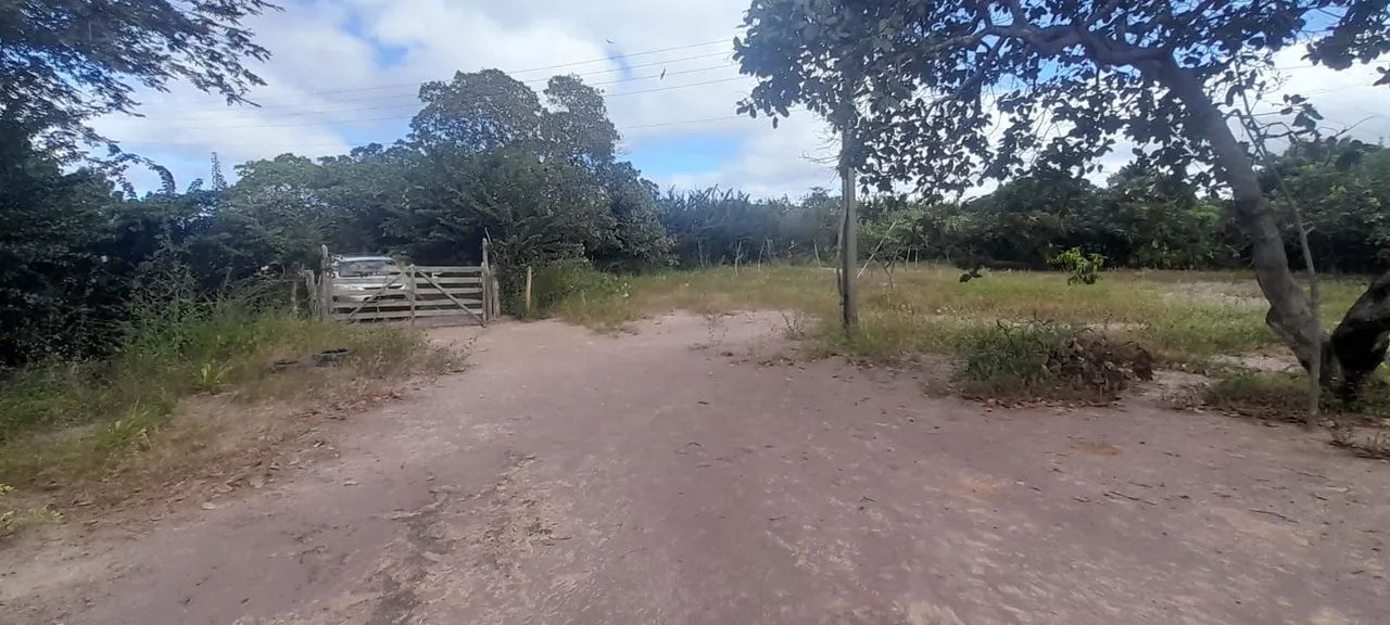 SÍTIO À VENDA - Foto 2