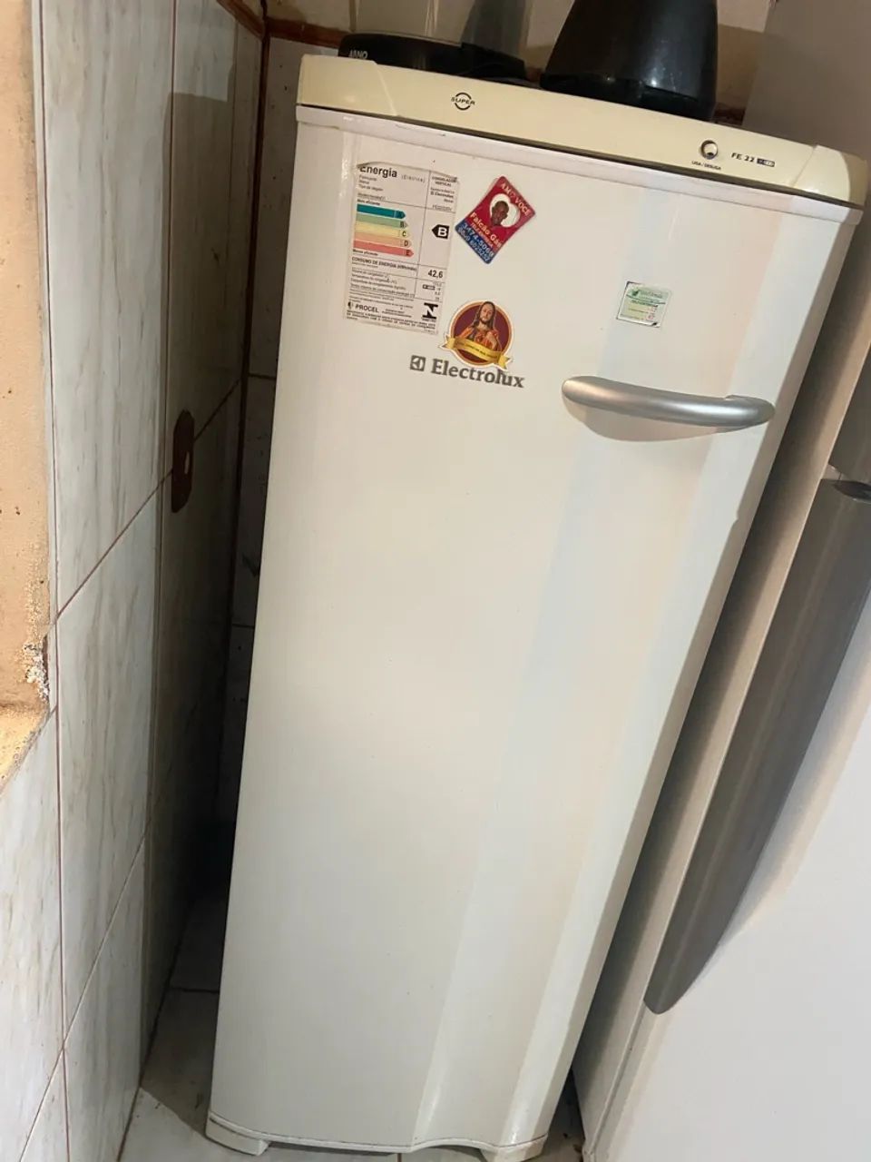 Freezer Vertical / Refrigerador Uma Porta Electrolux (Linha FE18