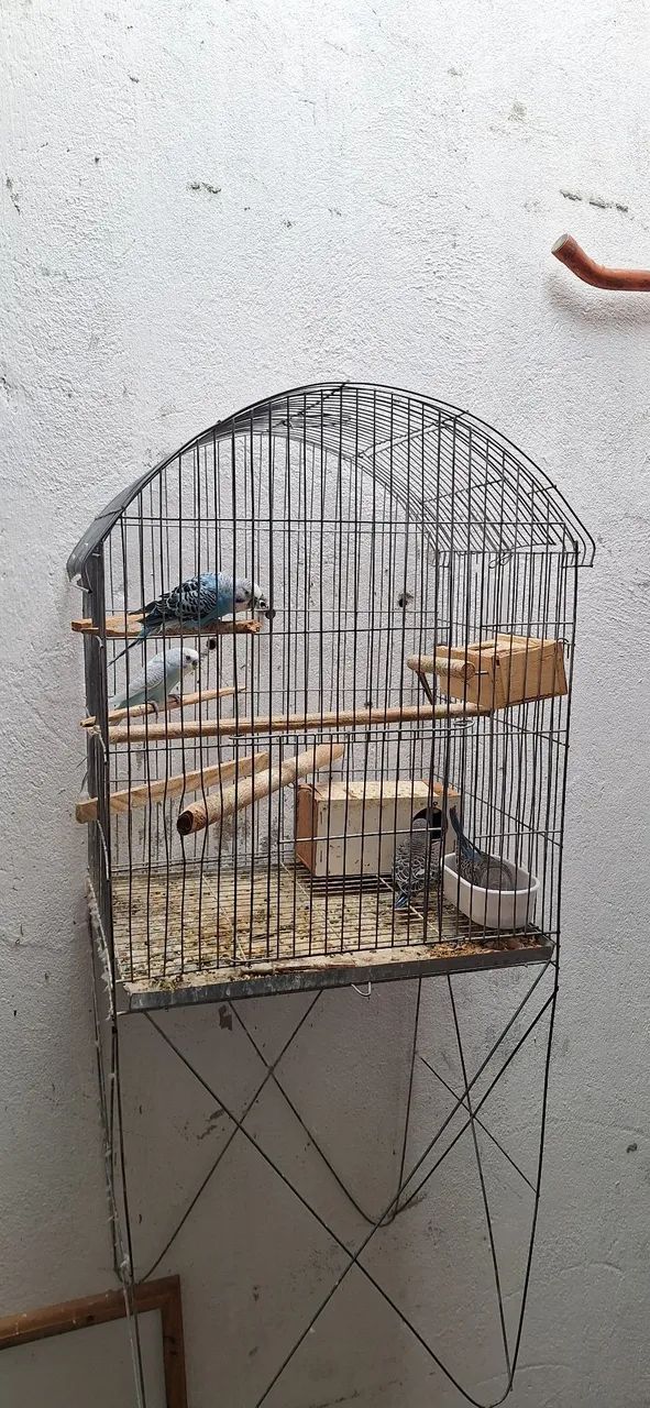 Vendo Gaiola