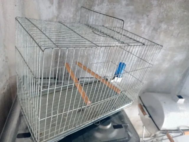 Gaiola criadeira com bebedouro 
