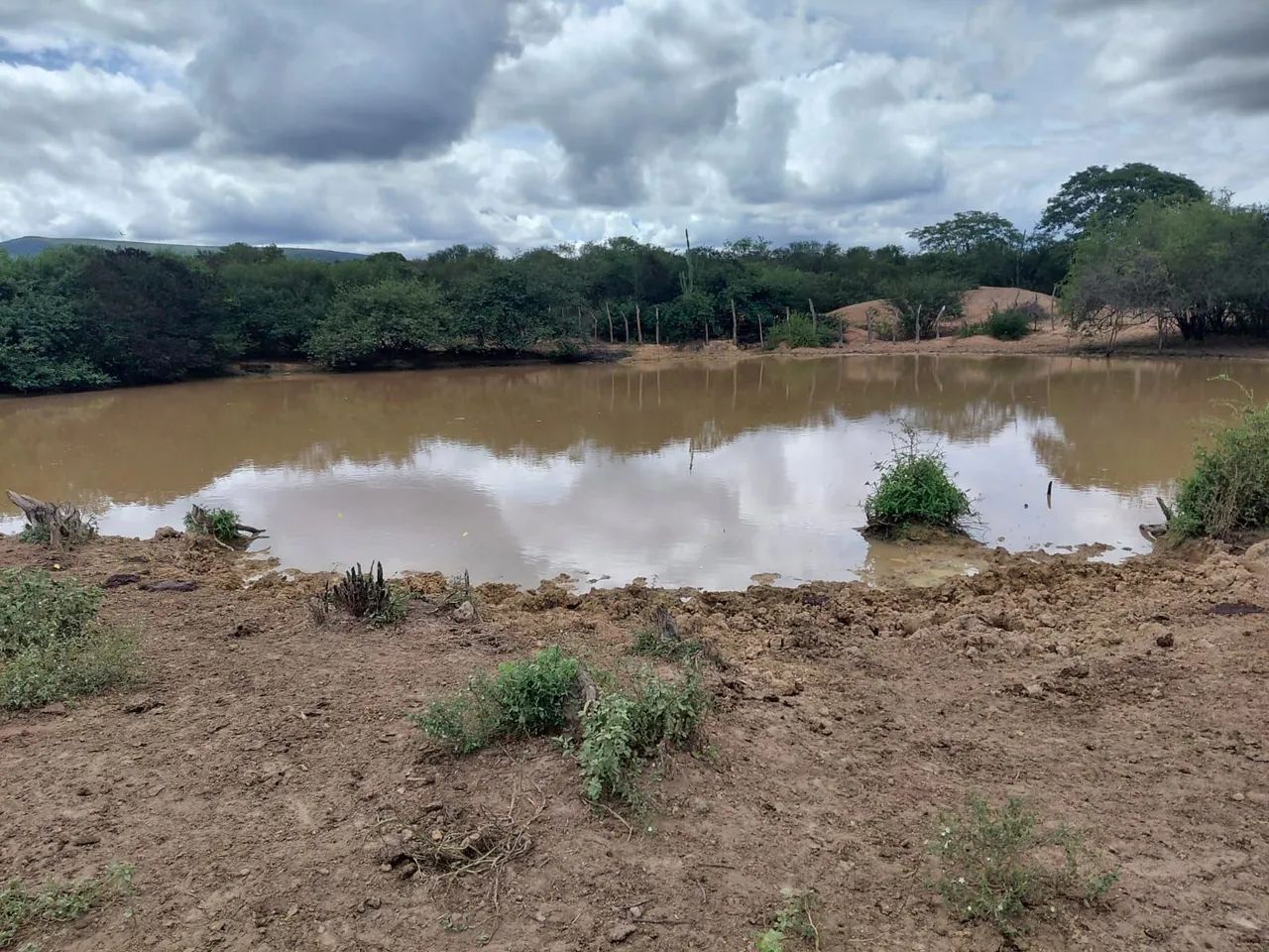 Fazenda em Ourolandia - Foto 2