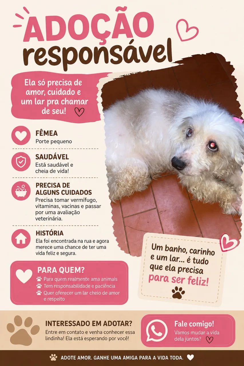 CACHORRINHA PARA DOAÇÃO 