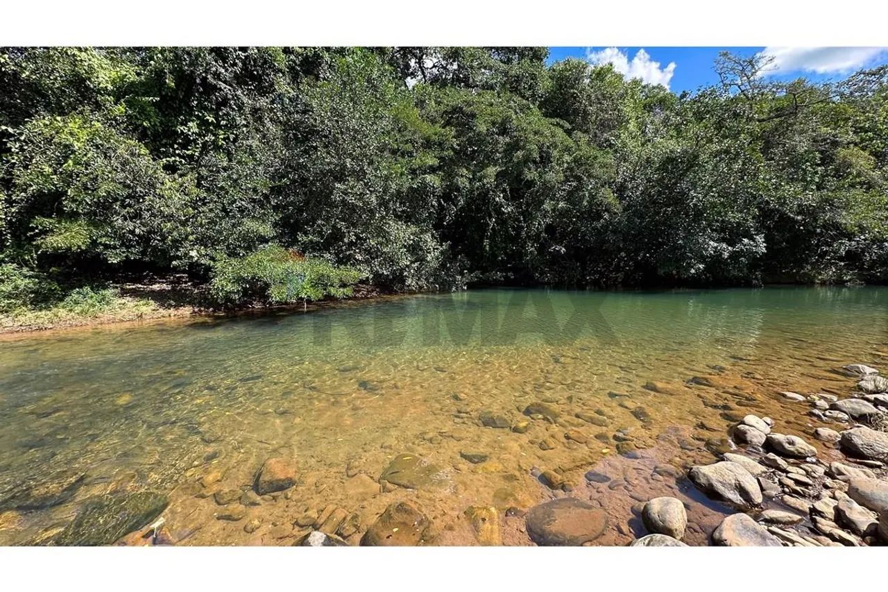 Fazenda em Formosa - Go 773 Ha