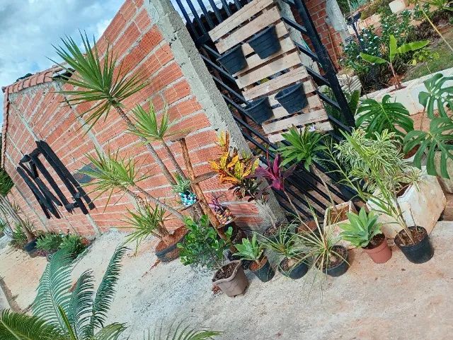 Arca : Pantas e jardins - Foto 3