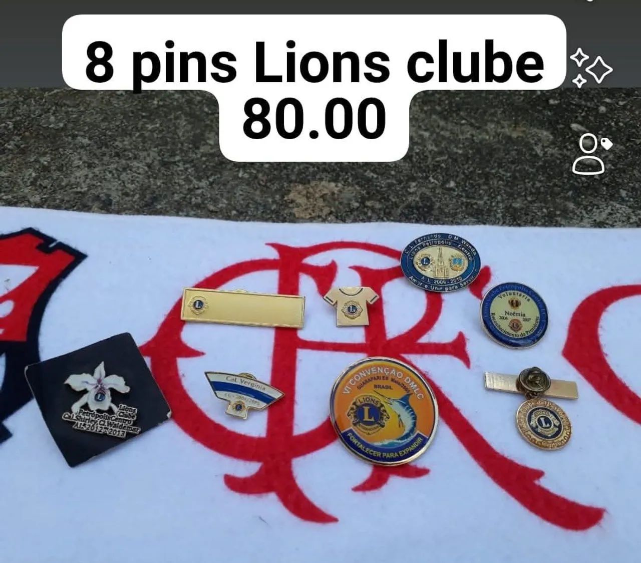 8 Pins do Lions Clube