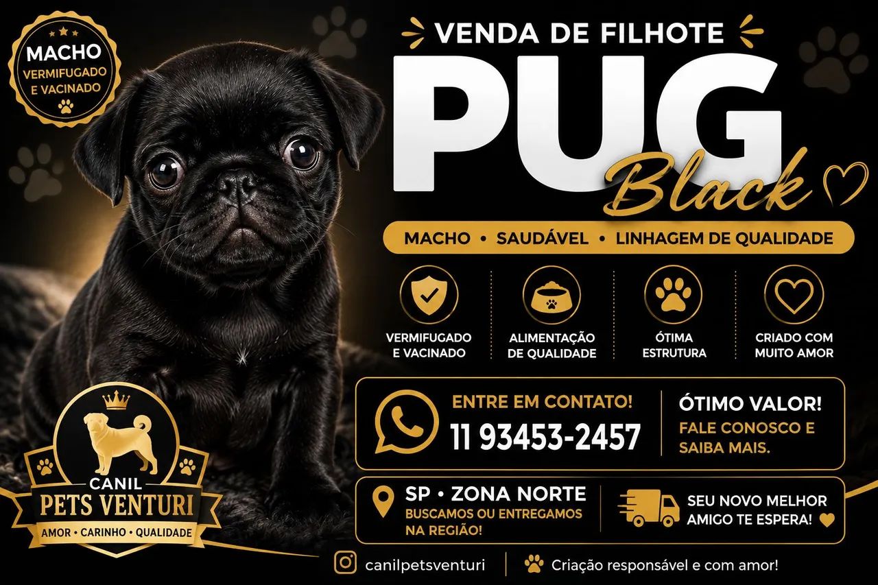 Pug valor imperdível 