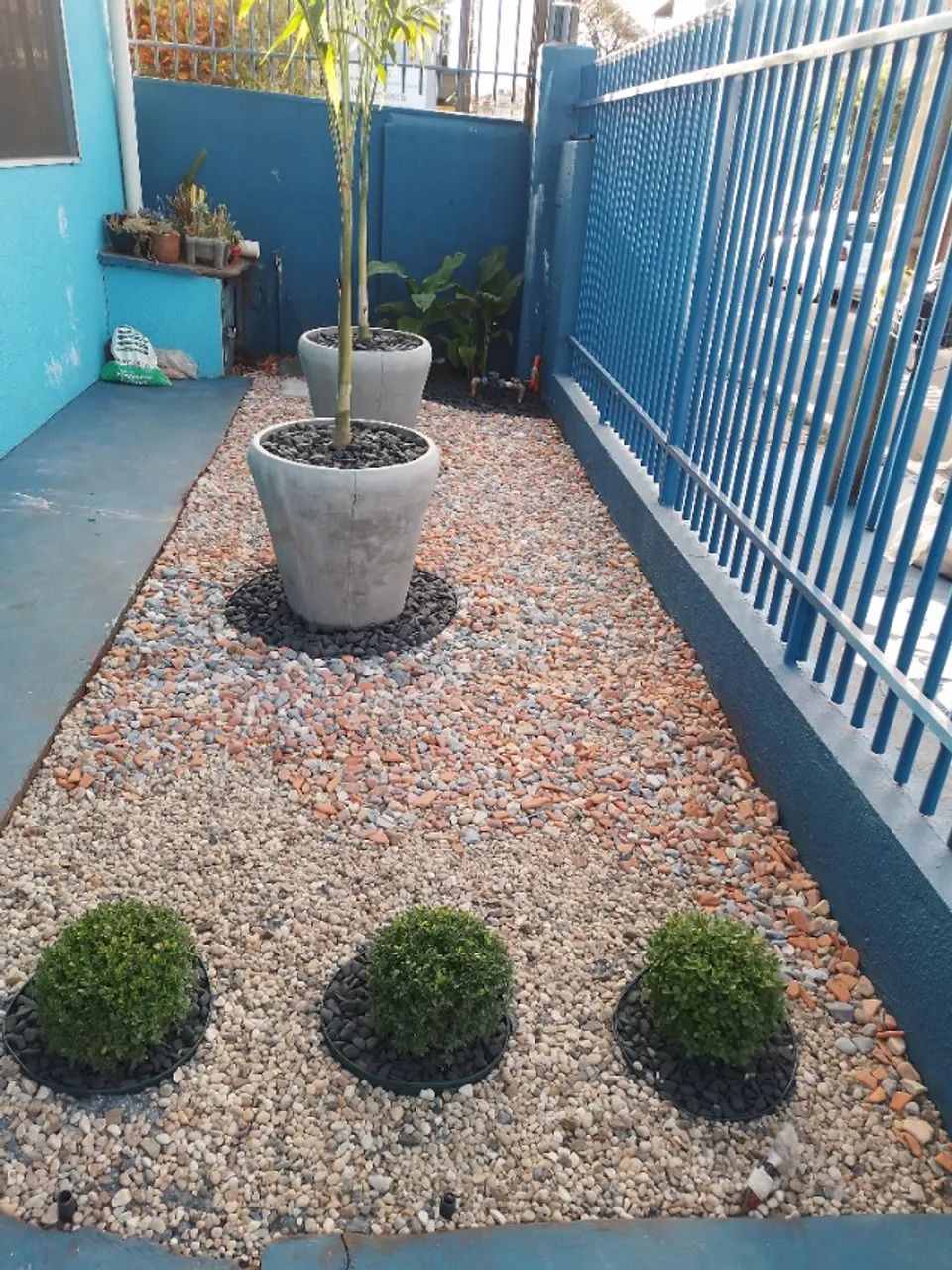 Manutencao e implantacso de jardim - Foto 3