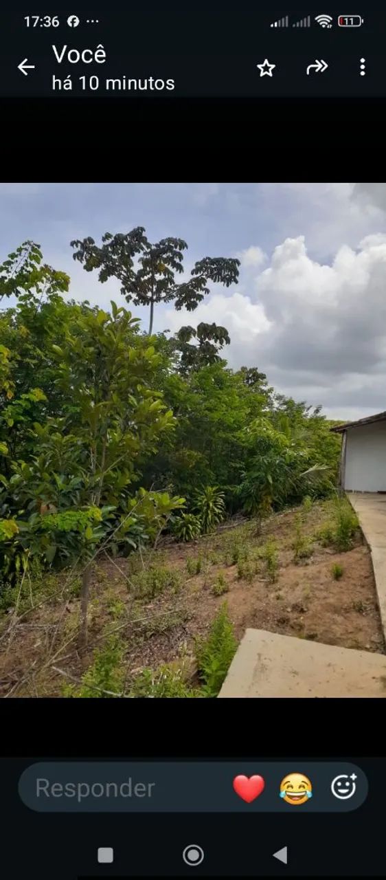 Sitio com casa interior PE - Foto 4