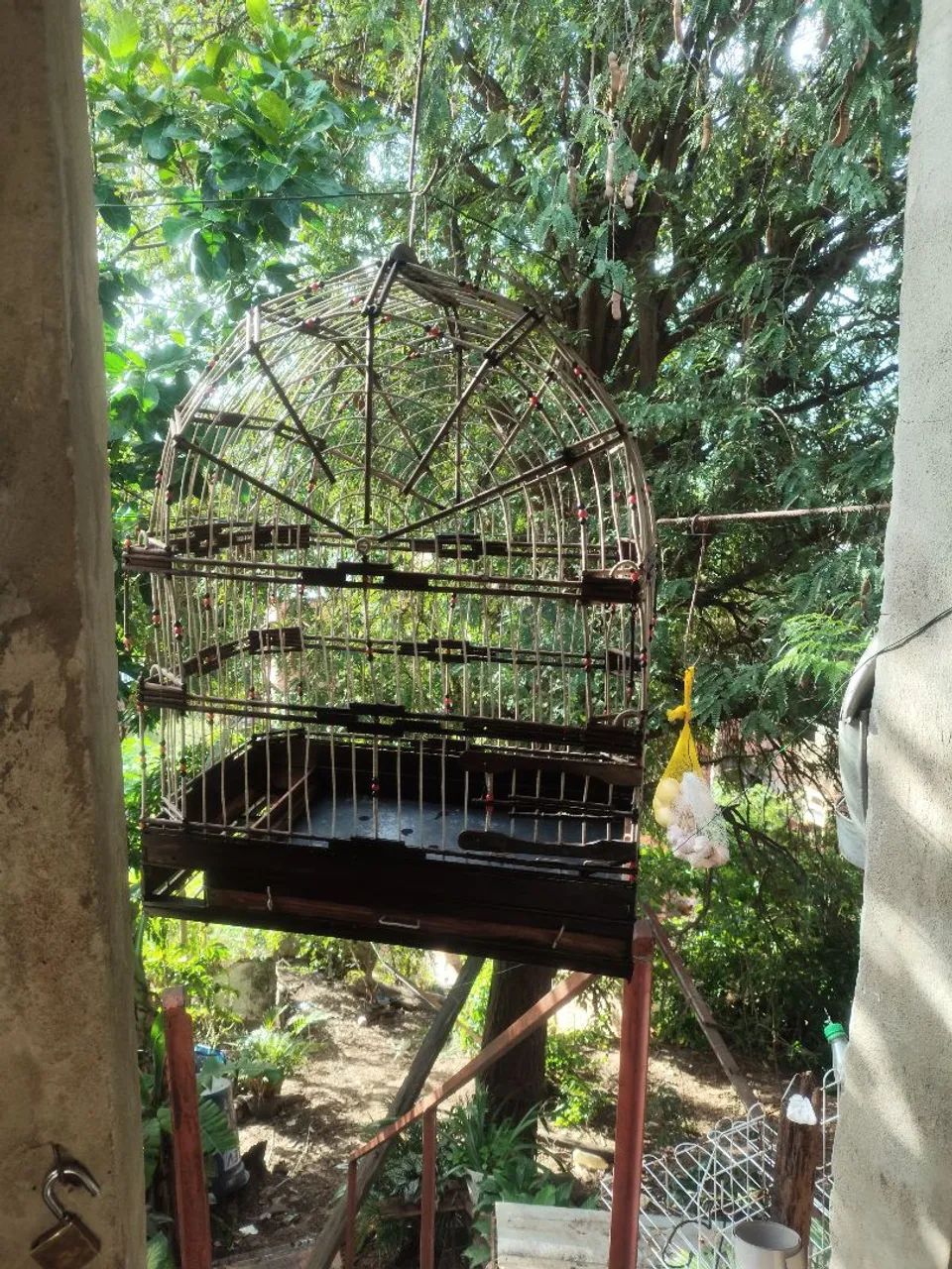 Gaiola de cabeça 