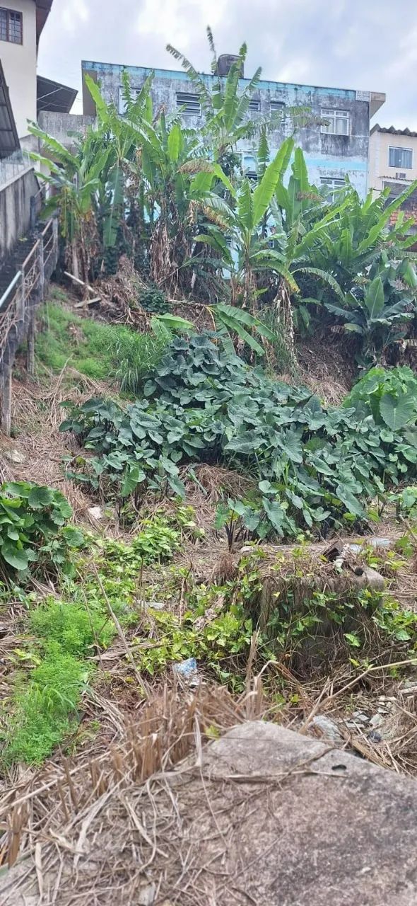 Terreno à venda na Trindade - Foto 3