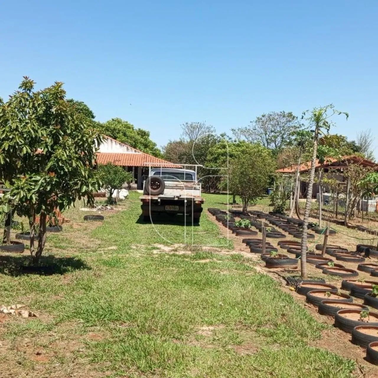 Chácara em Sítios de Recreio Terras da Boa Vista - Marília - Foto 2