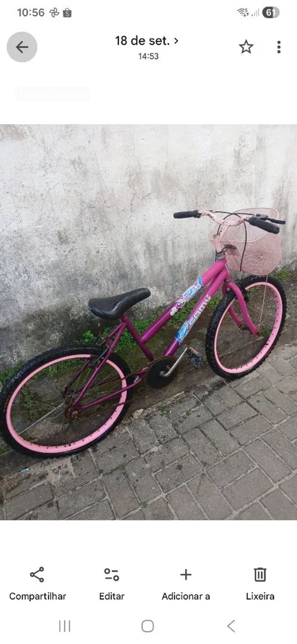 Bicicleta 