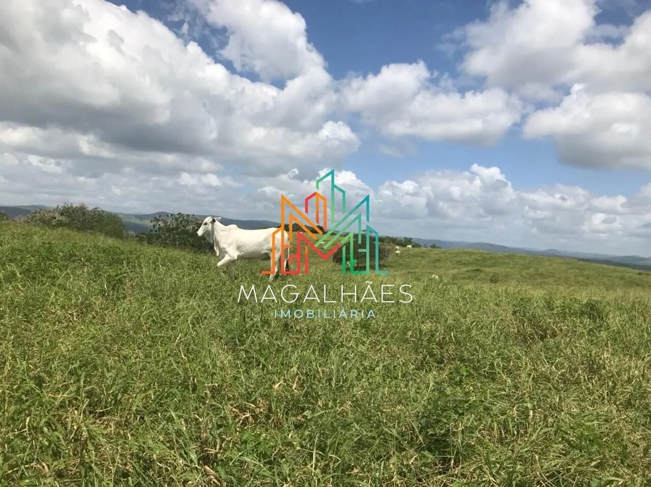 Fazenda à venda em Passira/PE