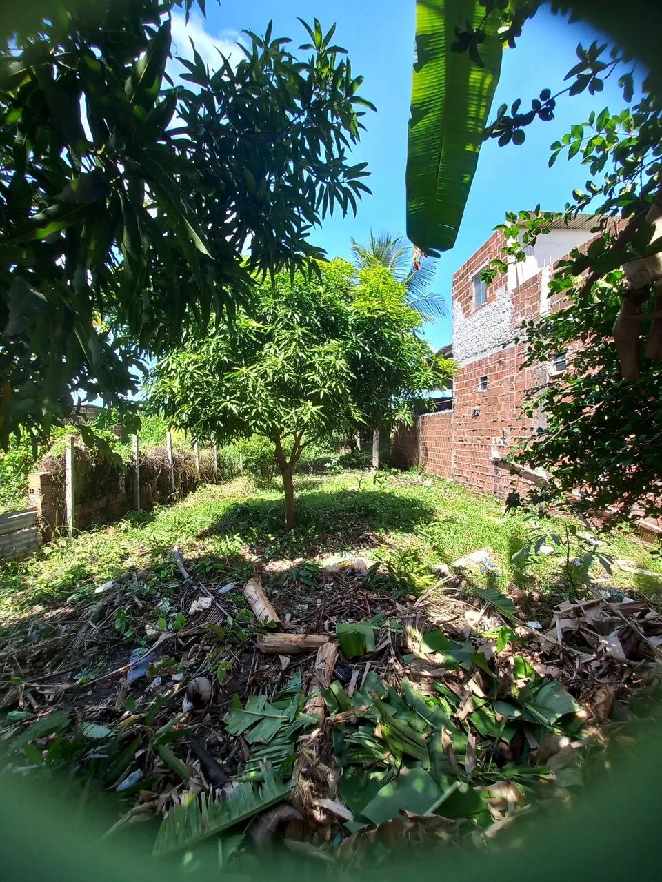 Vende-se  sítio  com Casa em Candeias - Foto 2
