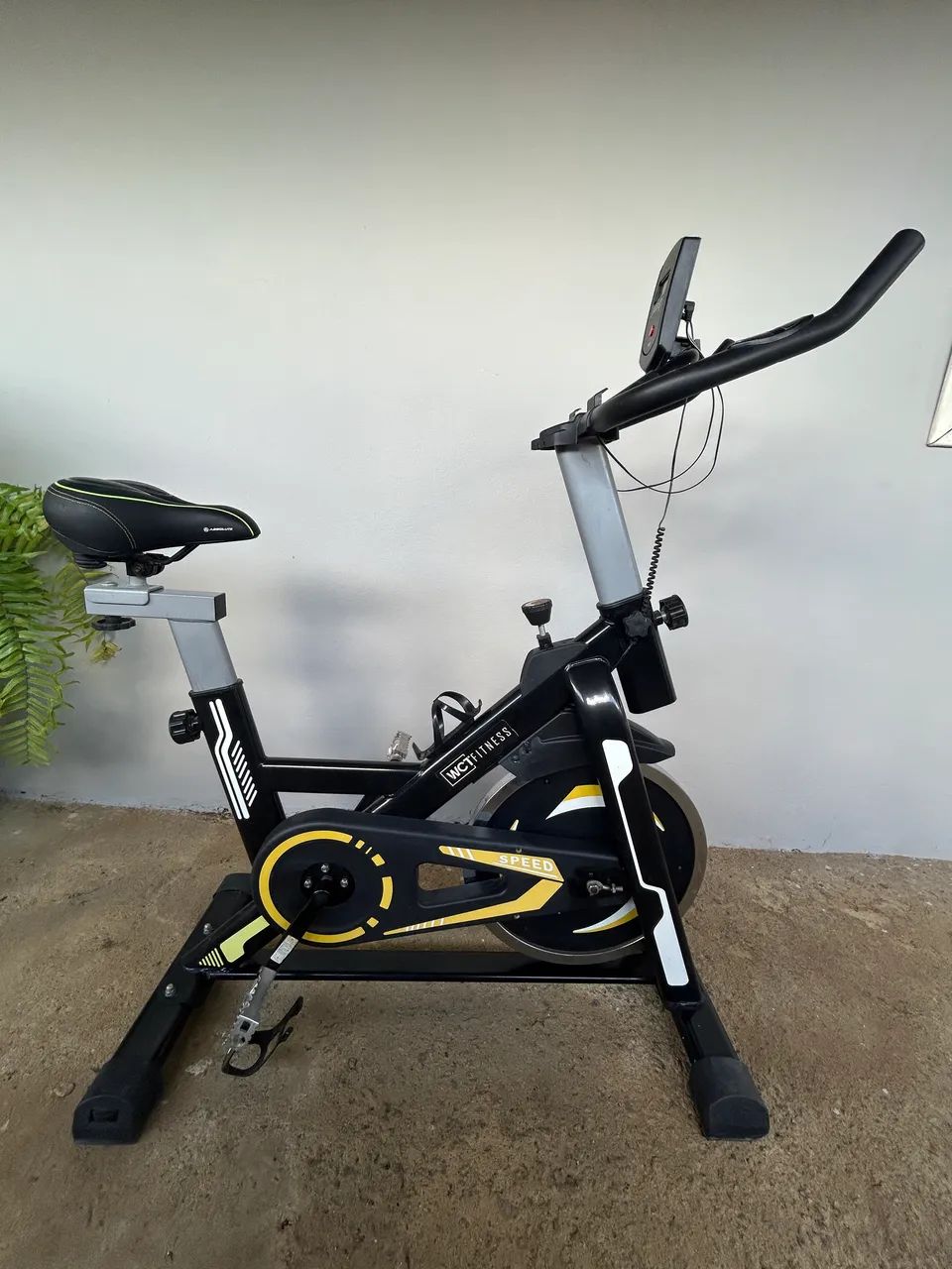 Bicicleta ergométrica