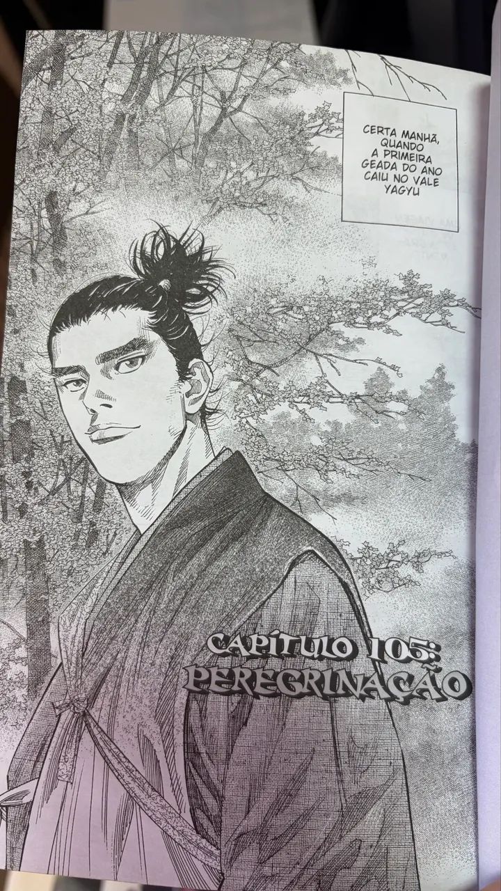 Mangá Vagabond - Foto 4