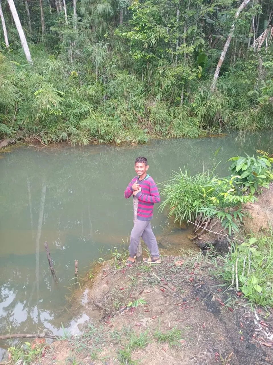 Chácara bem localizada  - Foto 4