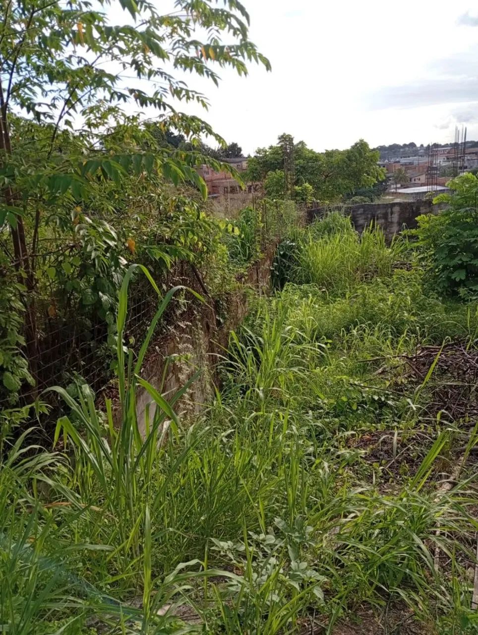 Parque São pedro