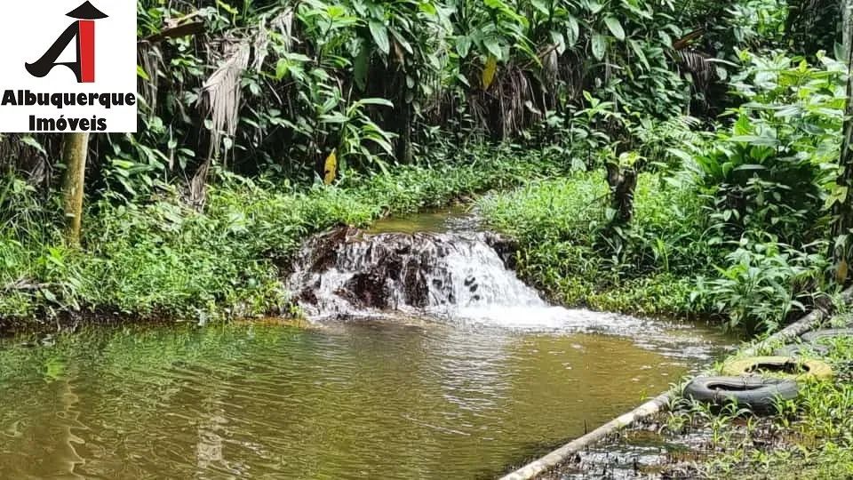 CHACARA RURAL em ICATU - MA, Baiacui - Foto 4