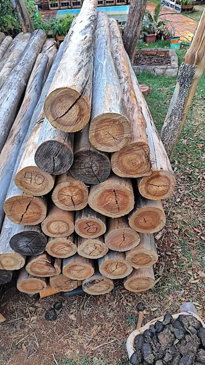 Postes madeira de eucalipto  - Foto 5