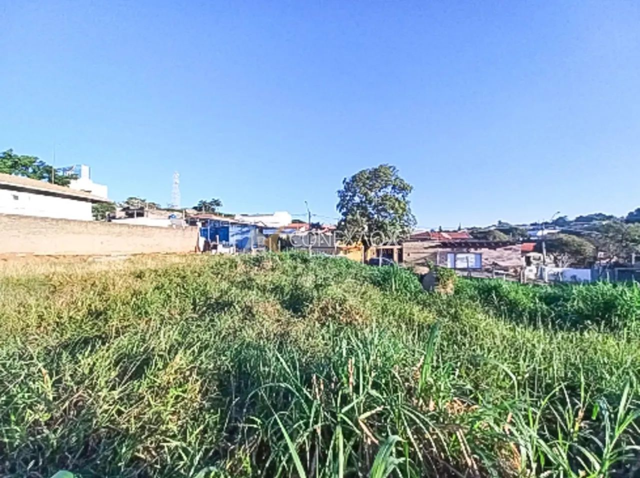 área - Chácara Primavera - Campinas