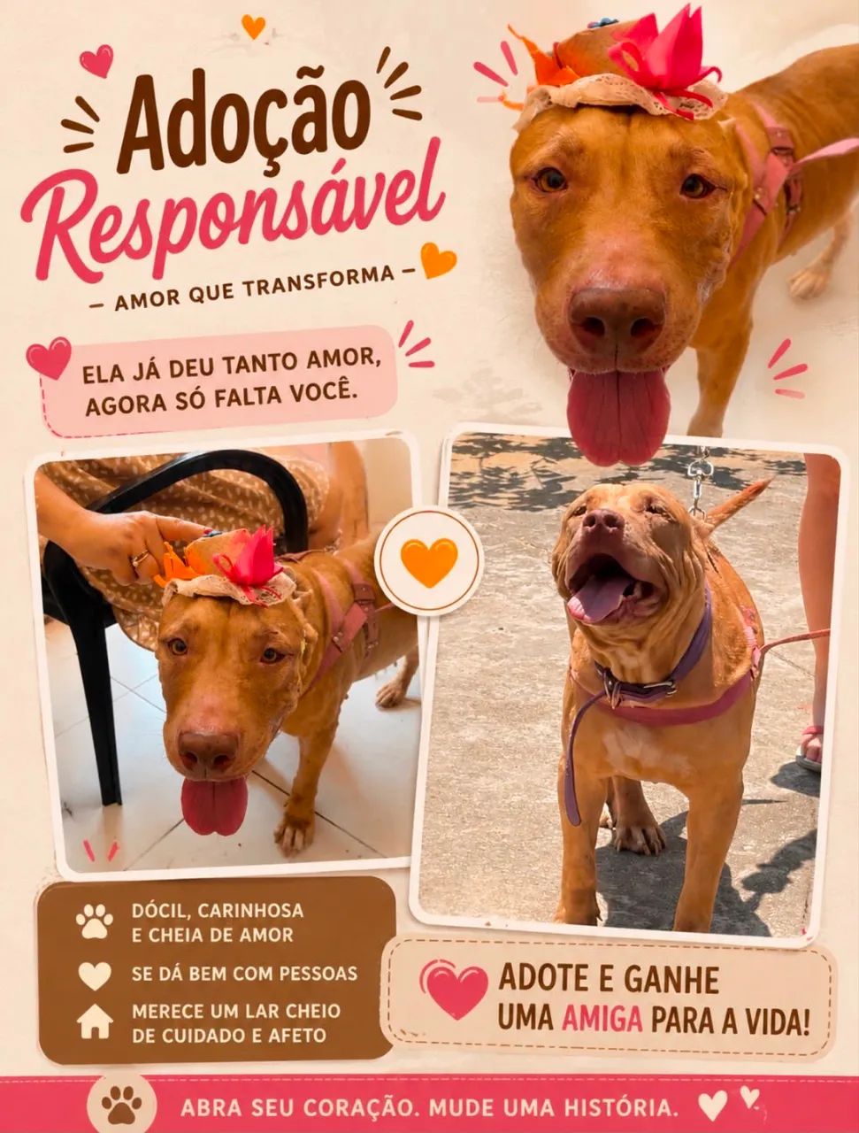 Adoção 
