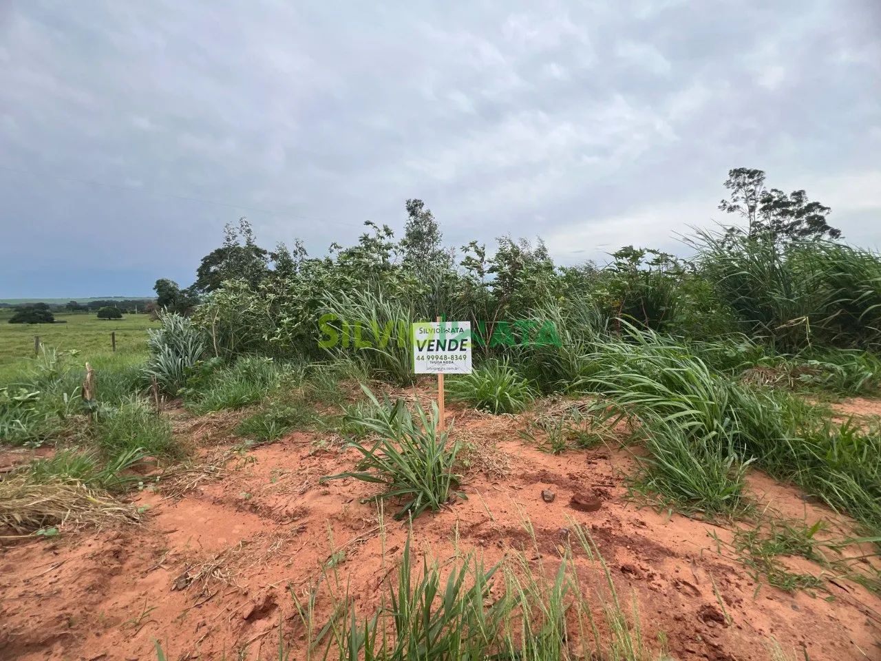 OPORTUNIDADE RURAL EM CRUZEIRO DO OESTE/PR - Foto 5