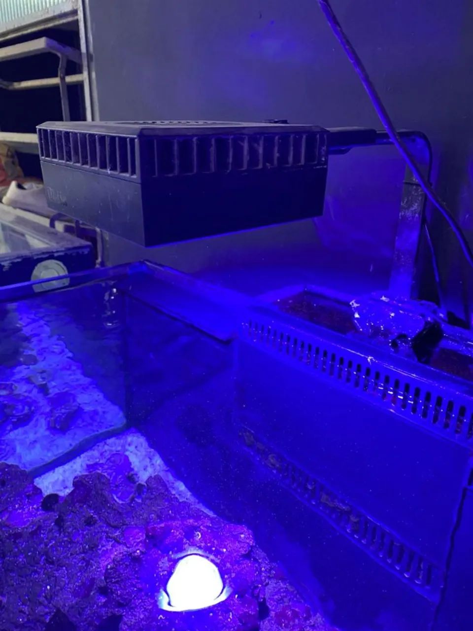 Aquário Completo  - Foto 2