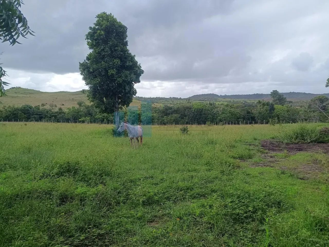 Fazenda com 333 tarefas a 50 km de Aracaju no Povoado Nova Estância 