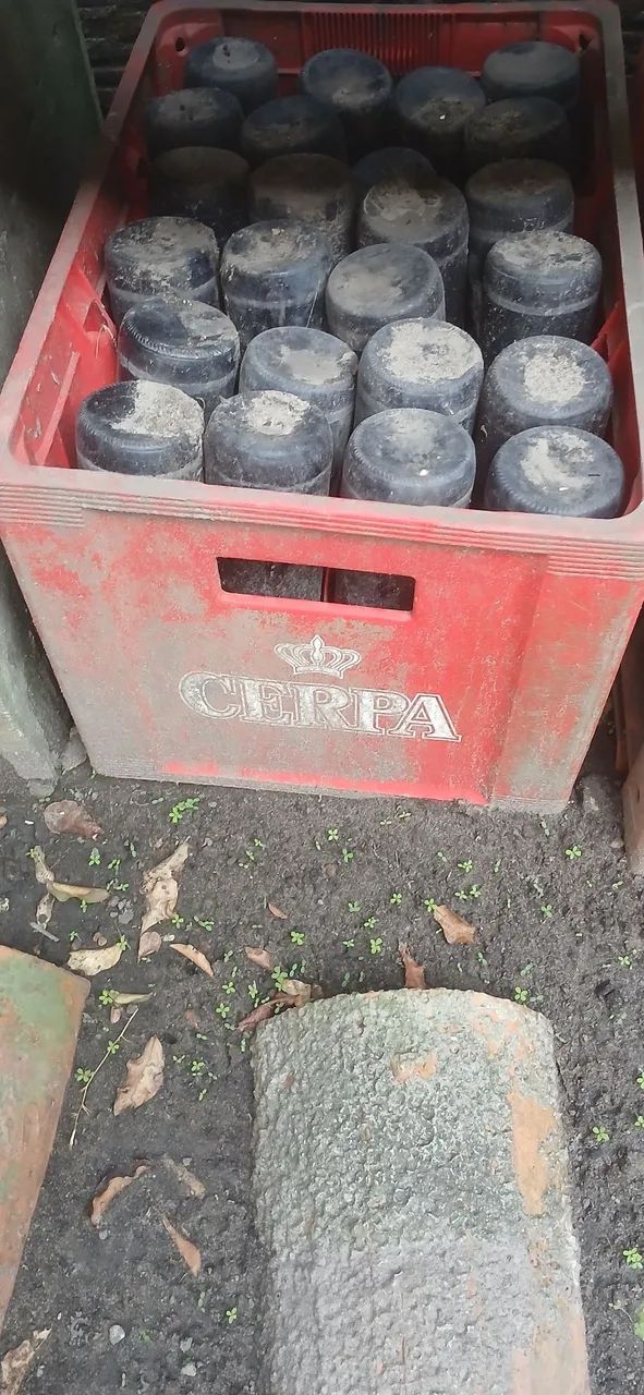 Grade de cerveja 600ml
