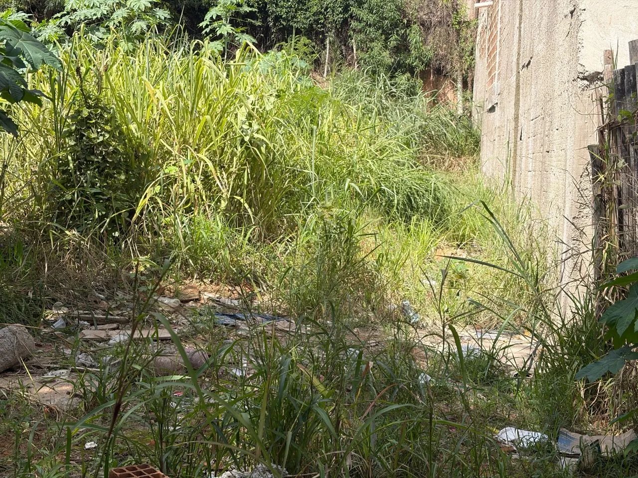 Lote a venda no Bairro Castelo - Foto 5