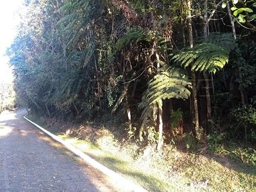 Terreno à venda em Serra da cantareira, São paulo cod:303350 - Foto 2