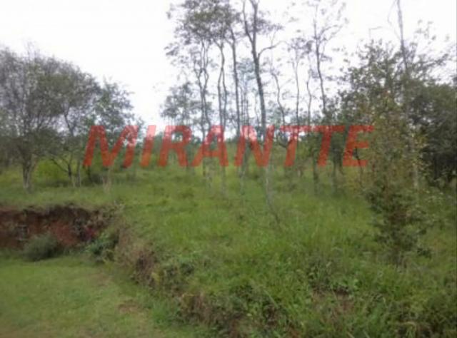 Terreno à venda em Serra da cantareira, São paulo cod:316545 - Foto 2