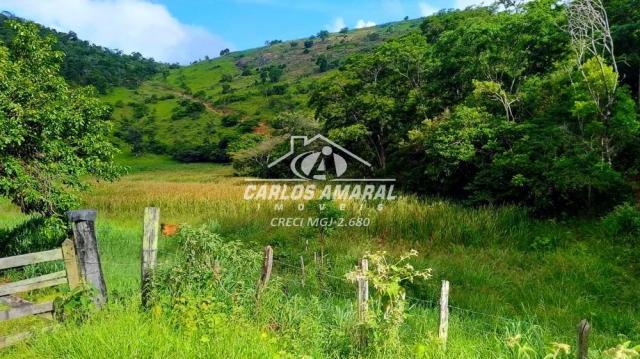 Fazenda à venda, , zona rural - carlos chagas/mg - Foto 13