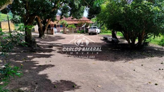 Fazenda à venda, , zona rural - carlos chagas/mg - Foto 4