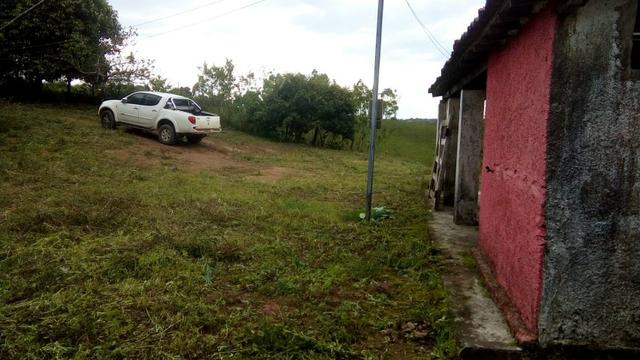 Fazenda 100000 m² - Foto 13