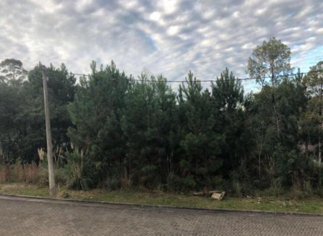 Terreno à venda, 487 m² por r$ 320.000,00 - vivendas do arvoredo - gramado/rs - Foto 3