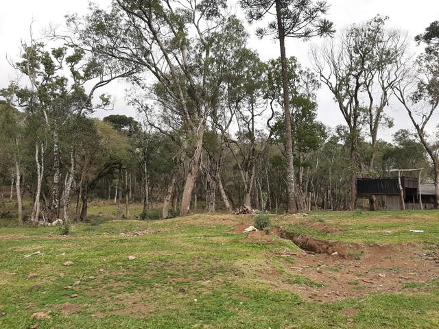 Fazenda de 100 Alqueires. 70 de capoeira - 16 km da Colônia Vitória. Guarapuava PR - Foto 7