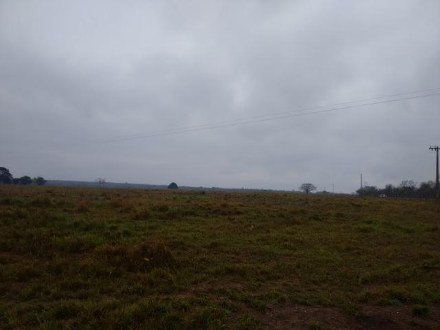 Fazenda 514 Hectares Grande Oportunidade - Poconé - MT - Foto 3